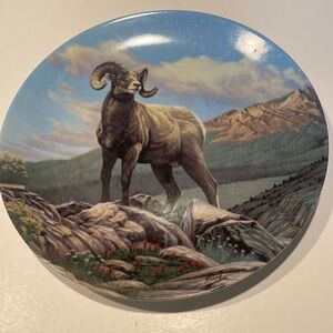 “The Bighorn Sheep”